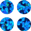 Holographic Blue